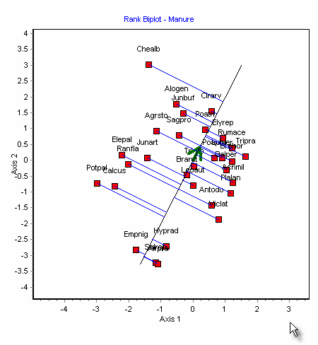Ecom Rank Plot